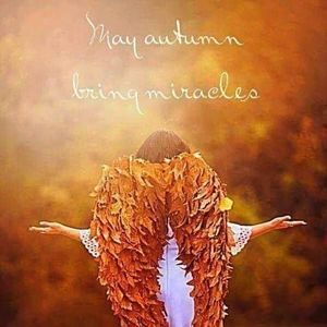 Meet your Posher, Tonia